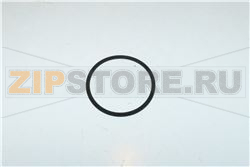 OR POMPA DI SCARICO LS99 
