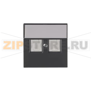 Накладка для розетки, антрацитовая ABB 2TKA00001109 