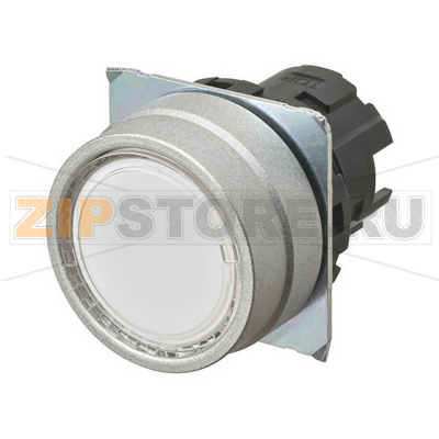 Переключатель кнопочный Omron A22NZ-MNM-TWA 