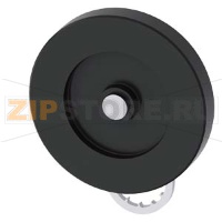 ПОВОРОТНЫЙ РЫЧАГ АКТУАТОРА ДЛЯ ПОЗИЦИОННОГО ВЫКЛЮЧАТЕЛЯ 3SE51, МЕТ. РЫЧАГ, 27MM, ШАГ 9MM, С ПЛАСТИКОВЫМ РОЛИКОМ 50MM Siemens 3SE5000-0AA07