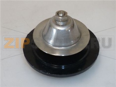 SUPPORTO ALBERINO FRULLATORE C/CC 