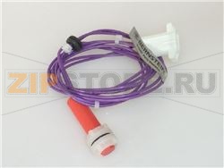 MICROINTERRUTTORE MAGNETICO 