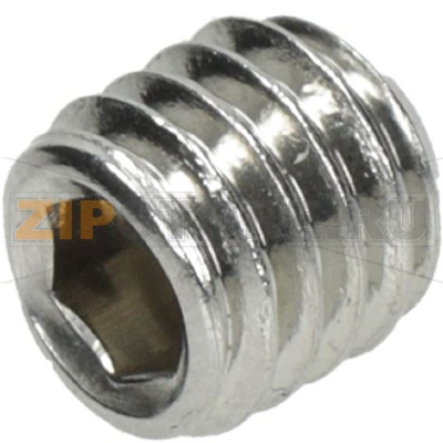 SCREW WITHOUT HEAD - HEXAGONAL GROOVE M6 