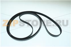Belt,Poly V 
