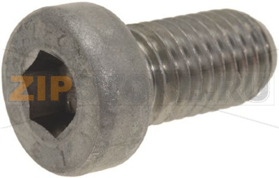 КОРОТКИЙ ВИНТ С ЦИЛИНДРИЧЕСКОЙ ГОЛОВКОЙ M10X20 