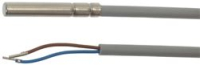 SONDA PTC 6x40 2 mt