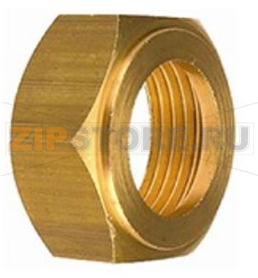 NUT ø 22MM - 1 - 10Pcs 