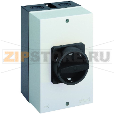 Выключатель-разъединитель 63 А, 1x90°, 1 шт Sälzer B263-41300-710N1 