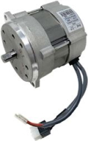 MOTOR FAN RIELLO FS10
