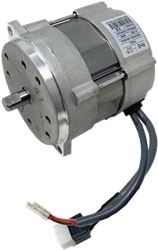 MOTOR FAN RIELLO FS10 