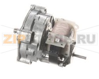 MOTORE DI AZIONAMENTO, ESPOSITORE, 120