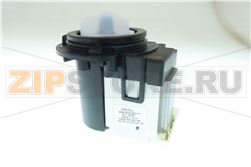 Motor Assembly,AC,Pump 120V 60Hz 