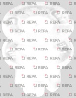 CLIPS FILTRE SUPPORT