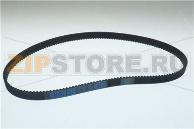 CINGHIA HTD P5x800 