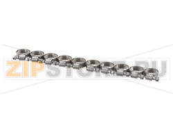 10 PACK HOSE CLAMPS 