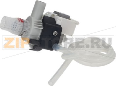 Boiler drain pump 220V 50/60Hz 