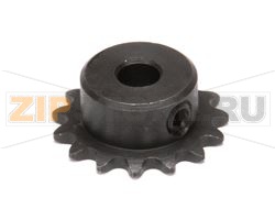 PIGNONE, 5/16, 25B15 