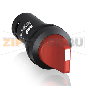 Переключатель C2SS2-10R-10 ABB 1SFA619201R1011 