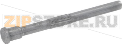DOOR PIN 