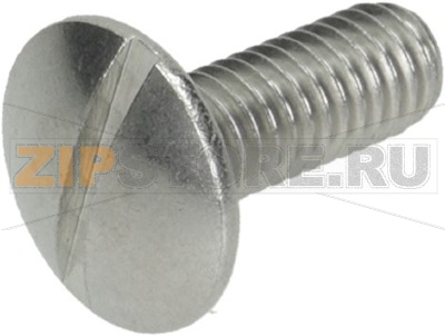 SCREW WITH COUNTERSUNK HEAD WITH CAP M6x 