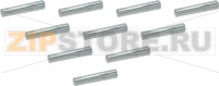 KIT PIOLINO ø 3x17 mm - 10 PZ