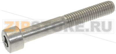 ВИНТ С ЦИЛИНДРИЧЕСКОЙ ГОЛОВКОЙ M8X55 