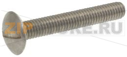 VITE A TESTA BOMBATA M6x40 