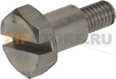 HEXAGON HEAD SCREW M6x8 