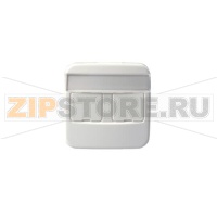 Накладка для розетки, белая ABB 2TKA000604G1
