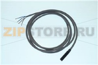 PROBE DRY REED STEM D08P 2B QB Z196HSD