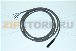PROBE DRY REED STEM D08P 2B QB Z196HSD 