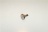 SUPPORT GLISSIERE POUR FOUR