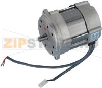 MOTOR FAN RIELLO FS20