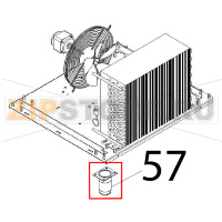 Foot Angelo Po IA101L