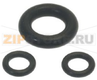 ANELLO DI TENUTA TESTA DOCCIA