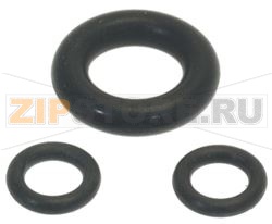 ANELLO DI TENUTA TESTA DOCCIA 