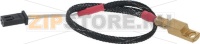 Group Temperature Probe Rs1