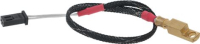 Group Temperature Probe Rs1