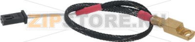 Group Temperature Probe Rs1 