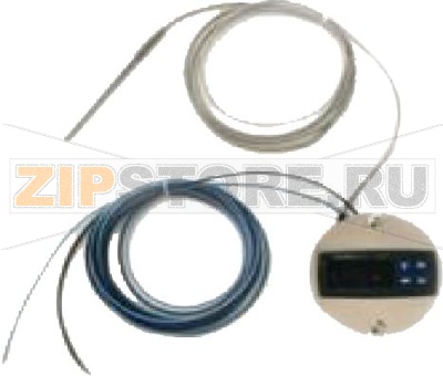 DIGITAL THERMOSTAT OK-31-PT100 