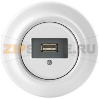 Розетка USB, белый фарфор ABB 2CHK290420C4300