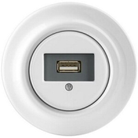 Розетка USB, белый фарфор ABB 2CHK290420C4300