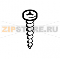 Vite Torx TCB 2,9x19 ino bru Saeco Royal Exclusive