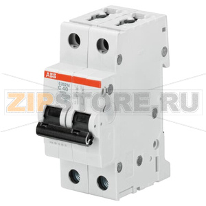 Выключатель автоматический двухполюсный, S202M D10 ABB 2CDS272001R0101 