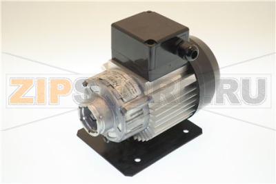 MOTOR PUMP 200V 50/60HZ 