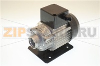 MOTOR PUMP 200V 50/60HZ