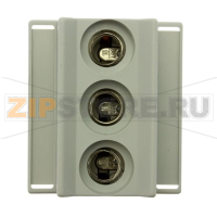 Держатель предохранителей, 16 A, AC 400 В, D01, 3P, IEC 1,5 Eaton FUSE-BASE D01 E14 3P 16A 400V