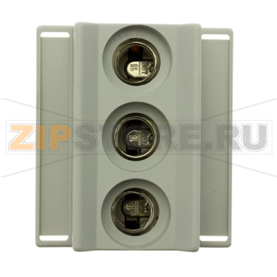 Держатель предохранителей, 16 A, AC 400 В, D01, 3P, IEC 1,5 Eaton FUSE-BASE D01 E14 3P 16A 400V 
