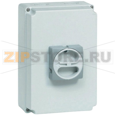 Выключатель-разъединитель 63 А, 1x90°, 1 шт Baco BA0174361 