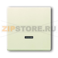 Клавиша для светорегулятора ABB 2CKA006599A2831